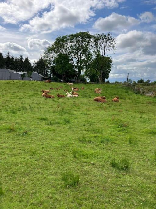 Whitethorn Cottage, Palmfield Ballaghaderreen Luaran gambar