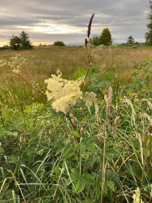 Whitethorn Cottage, Palmfield Ballaghaderreen Luaran gambar